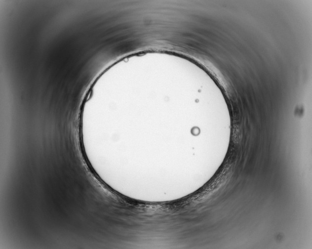 X0000103940903200810101413