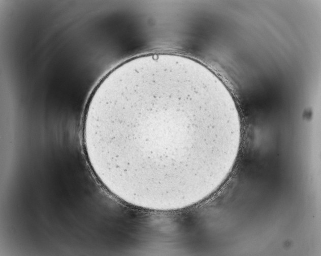 X0000103940904200810101413