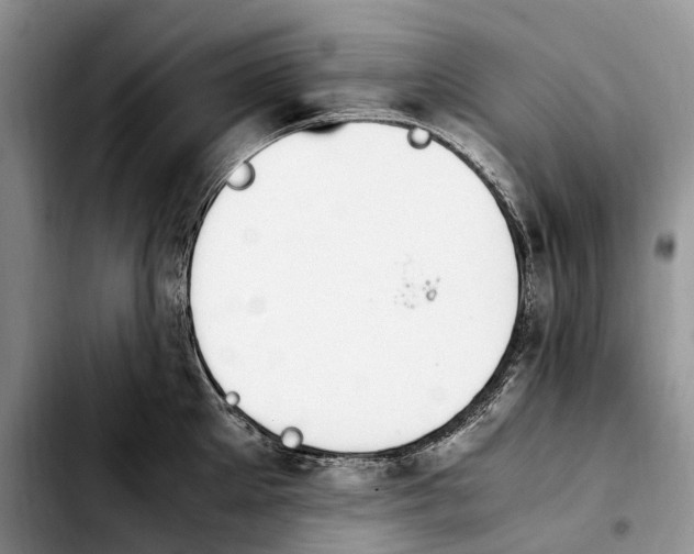 X0000103940905200810101413