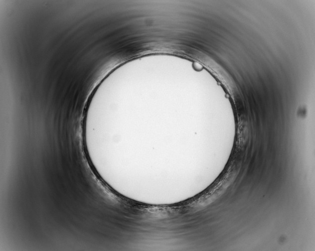 X0000103940906200810101413