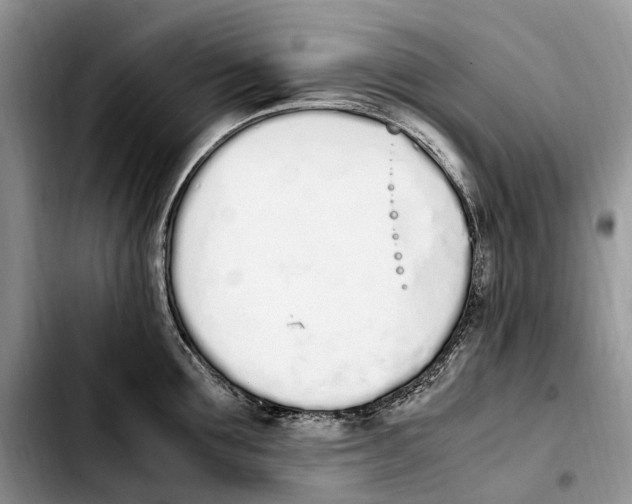 X0000103940907200810101413