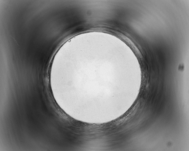 X0000103940908200810101413