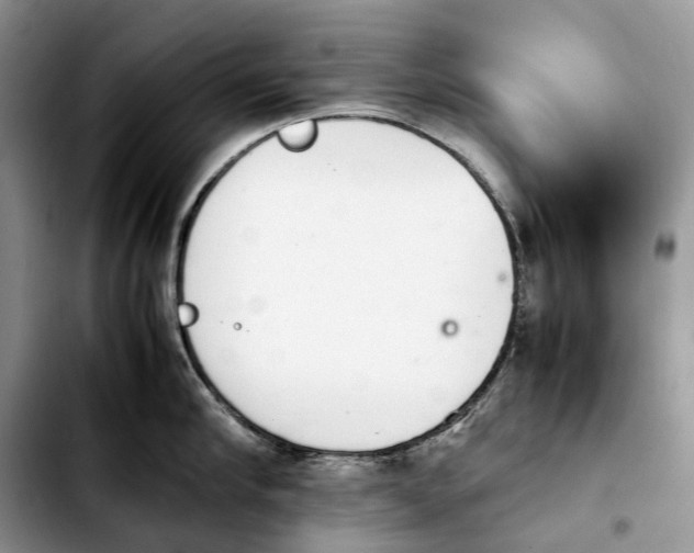 X0000103940910200810101413