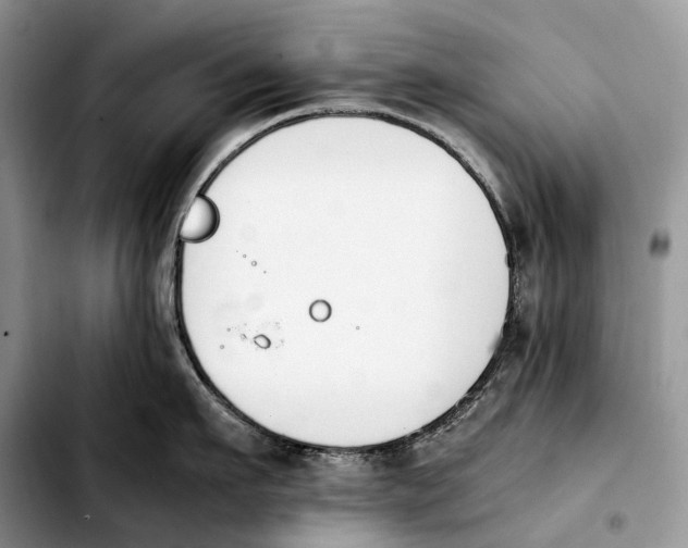 X0000103940911200810101413