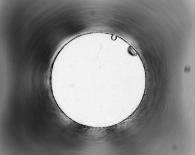 X0000103940912200810101413