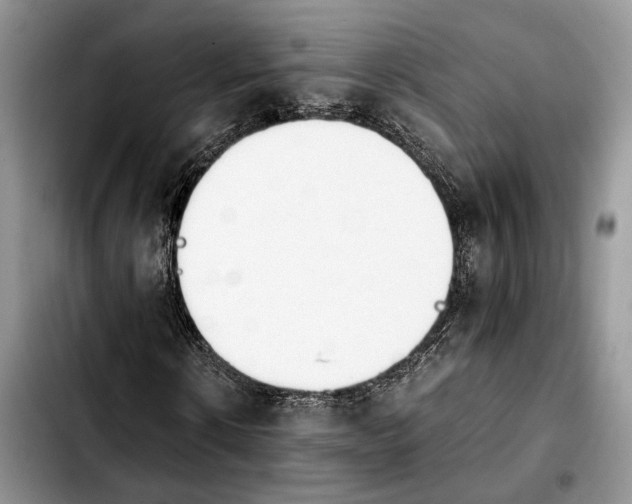 X0000103940914200810101412