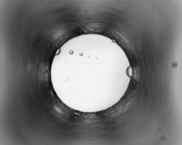 X0000103940915200810101412