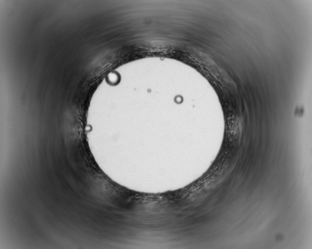 X0000103940916200810101412