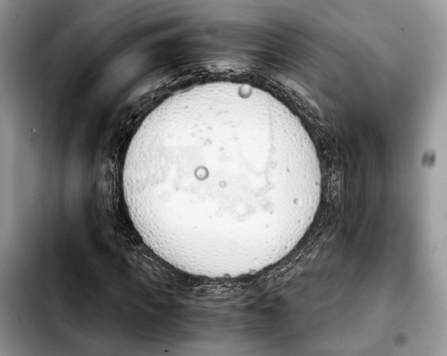 X0000103940917200810101413