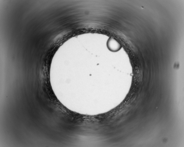 X0000103940918200810101413