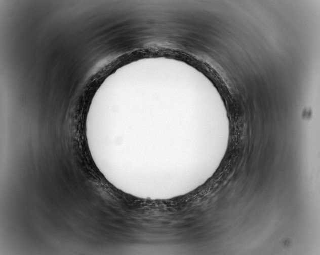 X0000103940919200810101413