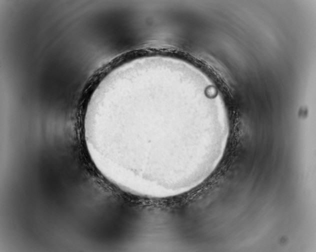 X0000103940920200810101413