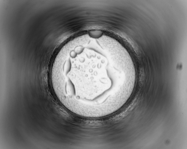 X0000103940921200810101413