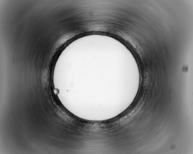 X0000103940922200810101413