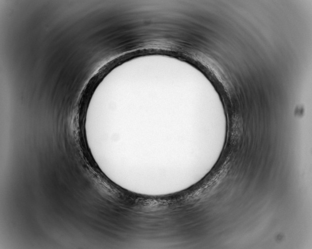 X0000103940923200810101413