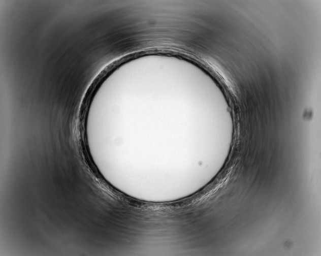 X0000103940924200810101413