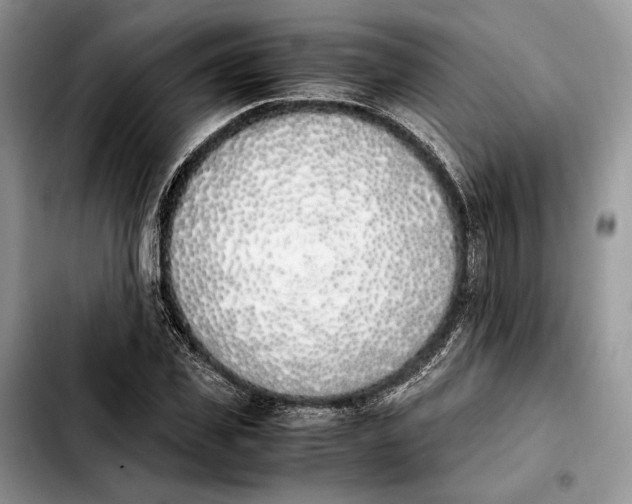 X0000103940925200810101413