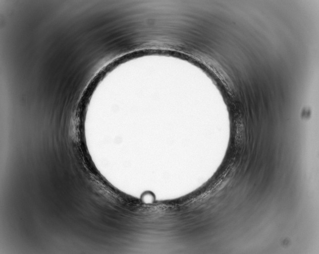 X0000103940926200810101413