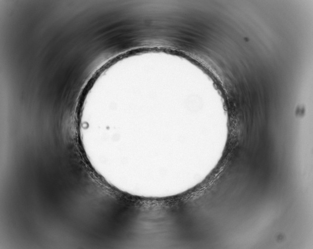 X0000103940927200810101413