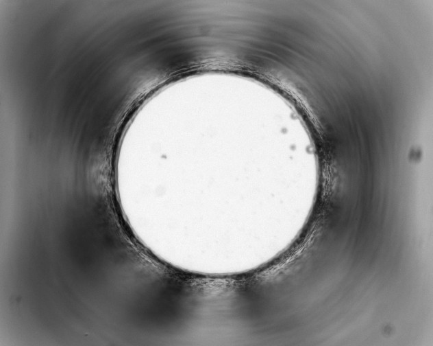 X0000103940930200810101413