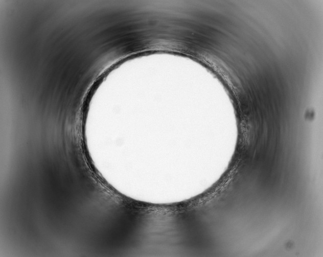 X0000103940931200810101413