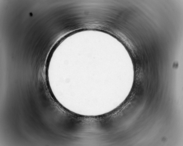 X0000103940932200810101413