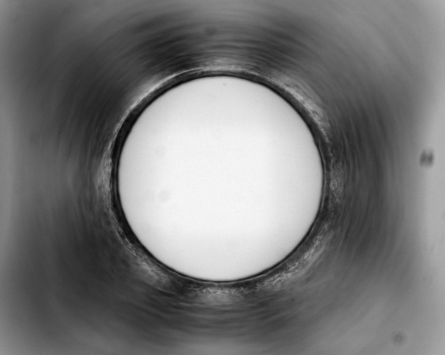 X0000103940933200810101413