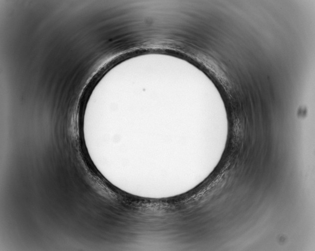 X0000103940934200810101413