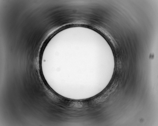 X0000103940935200810101413