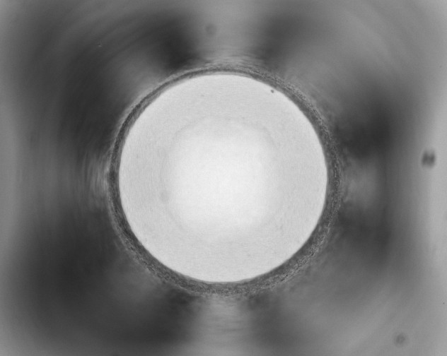 X0000103940936200810101413