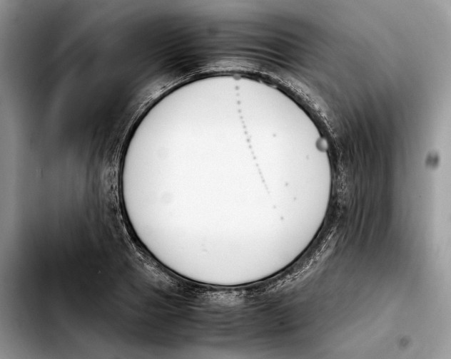 X0000103940937200810101413