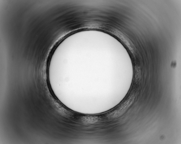 X0000103940939200810101413