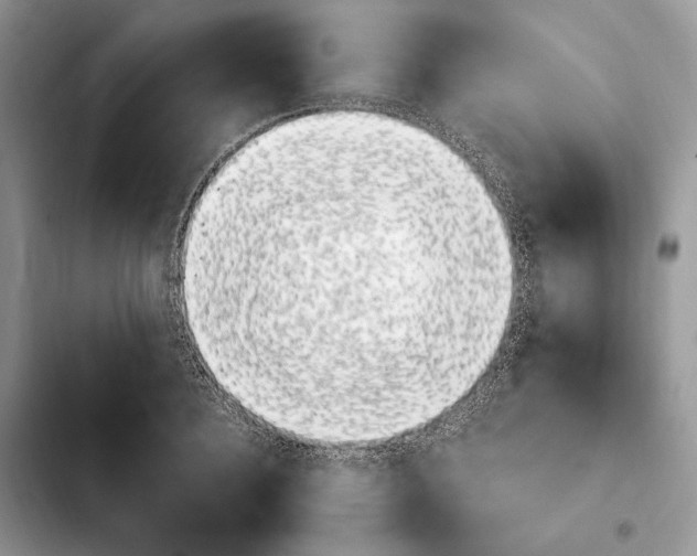 X0000103940940200810101413