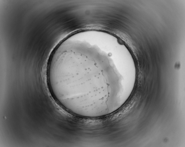 X0000103940941200810101413