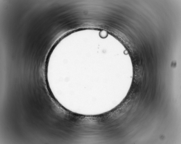 X0000103940942200810101413