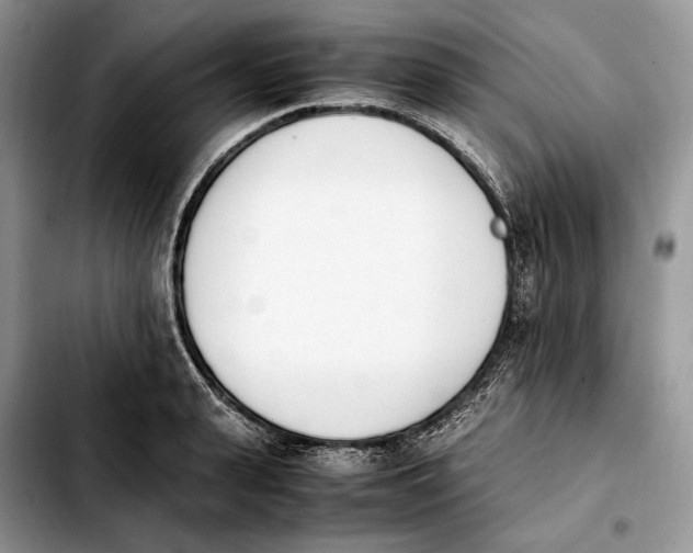 X0000103940943200810101413