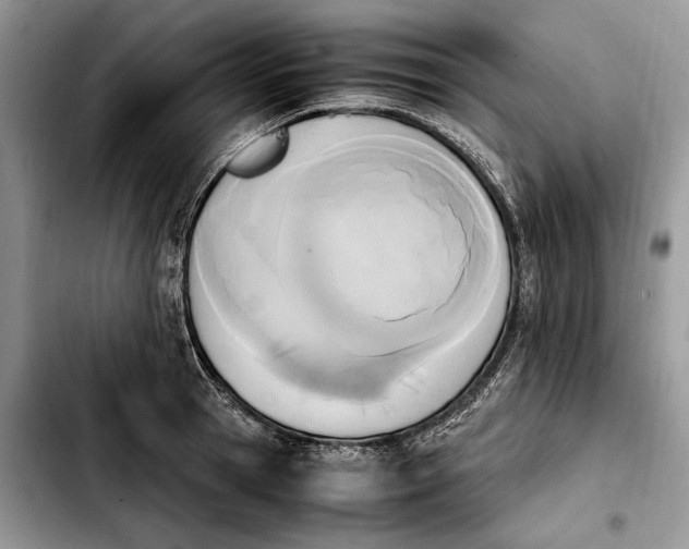 X0000103940945200810101413