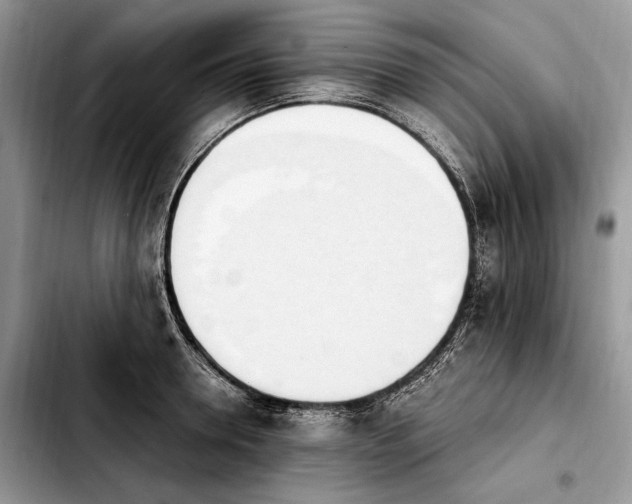 X0000103940946200810101413