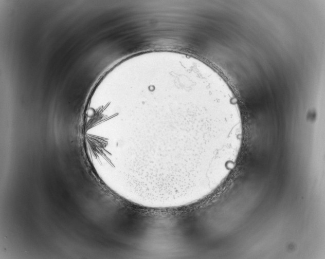 X0000103940948200810101413