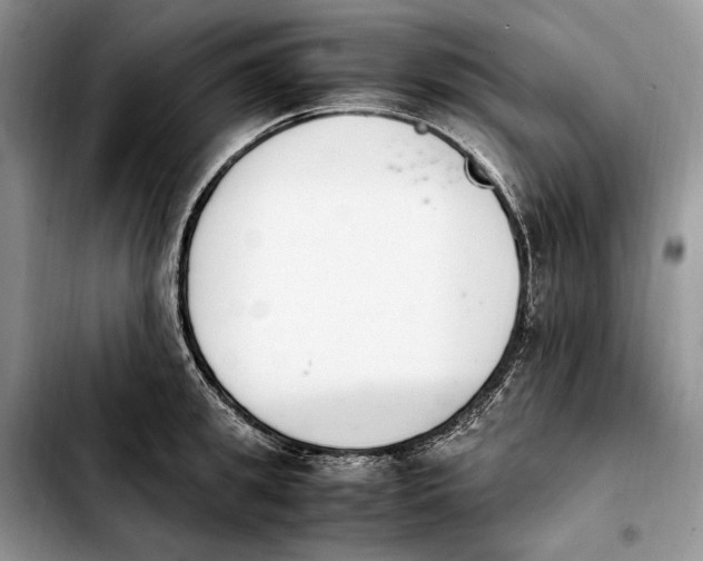 X0000103940949200810101413