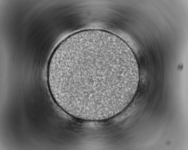 X0000103940950200810101413