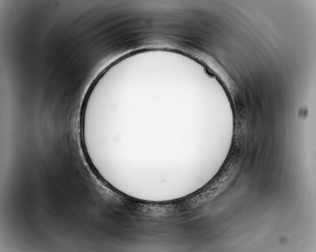 X0000103940951200810101413