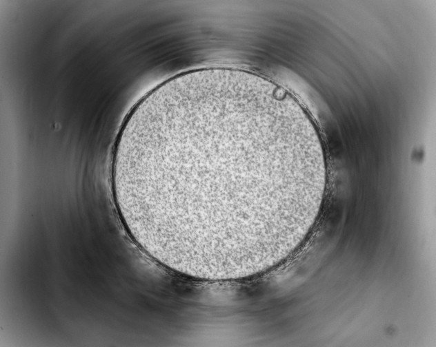 X0000103940952200810101413