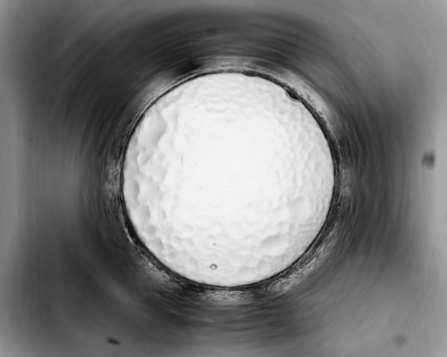 X0000103940953200810101413