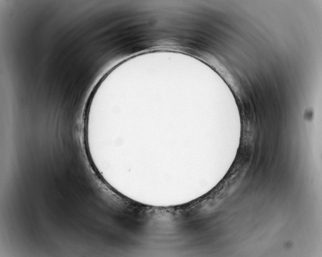 X0000103940955200810101413