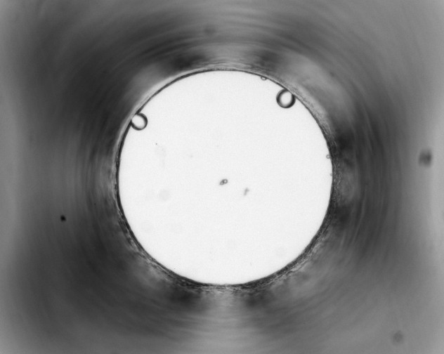 X0000103940956200810101413