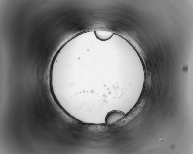 X0000103940957200810101413