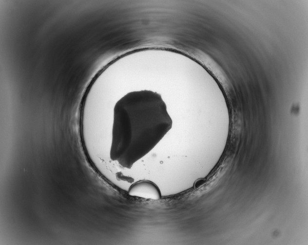 X0000103940958200810101413