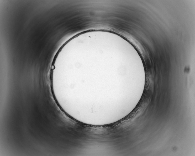 X0000103940959200810101413