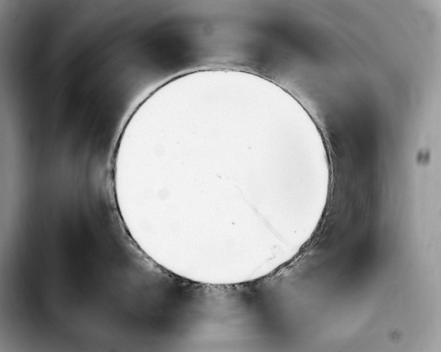 X0000103940960200810101413